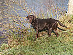 DB journey to sobriety-houffalize_2-jpg
