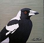 New Painting...-5-9-20-magpie-2-jpg