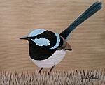 New Painting...-12-9-20-fairy-wren-1-jpg