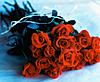 Seeing Yourself Real: Paper Roses Have No Fragrance-j0403514-jpg