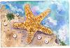 water color paintings.-cheryl-starfish-jpg