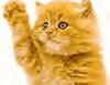 Who can write the worst poem?-y1p3ih_-89xprlgzostlw-3z7knstjjly5dzq9u2jigasturth4_ihtyn_2mjpb-kojqax2_lemkc4-jpg
