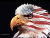 Choices Game-usa-eagle-1024-jpg