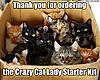 Daily Insights--Let's Share!-cat-lady-jpg