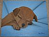 New Painting...-blue-sleeping-pup-29-3-13_2-jpg