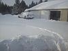 It just keeps snowing!!!!!!!-jan25b-jpg
