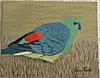 New Painting...-_red-rump-parrot-18-1-14_3-jpg