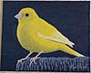 New Painting...-_canary2_28-2-14_2-jpg