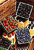 More About Berries...antioxidants for brain protection-k7229-19x-jpg