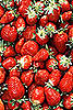 More About Berries...antioxidants for brain protection-k7726-1x-jpg
