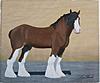 New Painting...-clydesdale-horse-14-11-14_2-jpg
