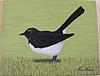 New Painting...-_willy-wagtail-14-7-15_1-jpg