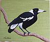 New Painting...-10x12-magpie_31-8-15_1-jpg