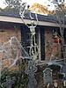Trigger warning, halloween pictures from house.-skeletons-house-jpg