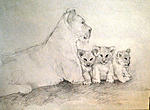 Seeking hobbies-lioness-drawing-3-cubs-jpg