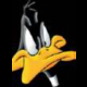 Daffy Duck's Avatar