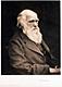 Darwin's Avatar